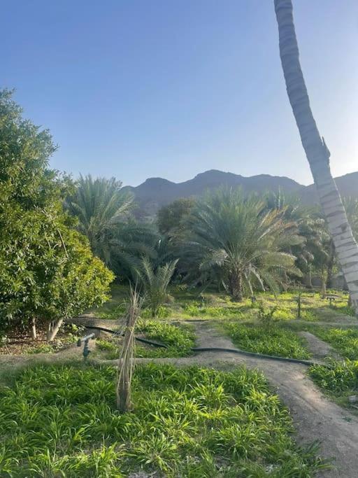 Alsalam Farmhouse Villa Hatta Exterior photo